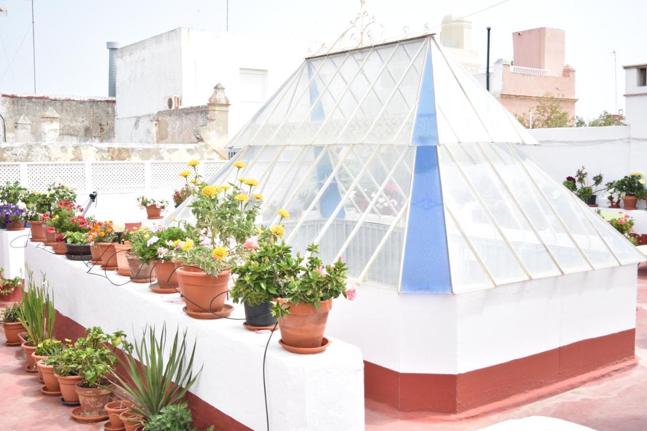 Apartamento La Discusion De Veedor 12 Cádiz Eksteriør billede